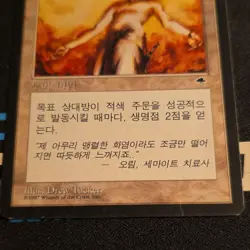 Magic: The Gathering Warmth 1997 Korean Enchantment Drew Tucker Wizards - Image 3