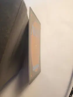 Dragonhawk, Fate's Tempest (Borderless) Bloomburrow Foil - Image 3