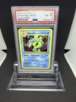 2016 Pokemon Gyarados Holo XY Evolutions #34 PSA 8 - Image 1