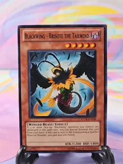 Yu-Gi-Oh TCG Card | Blackwing - Brisote the Tailwind STOR-EN008 - Image 1
