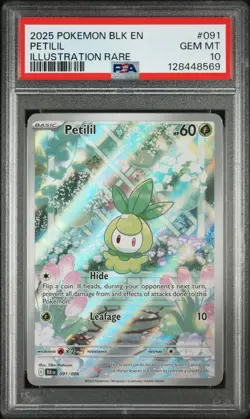 2025 POKEMON BLK EN-BLACK BOLT ILLUSTRATION RARE #091 PETILIL PSA 10 - Image 1