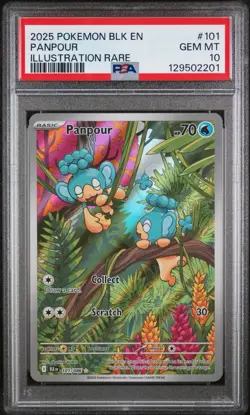 2025 Pokemon Scarlet & Violet Black Bolt IR Panpour #101 PSA 10 GEM MINT - Image 1