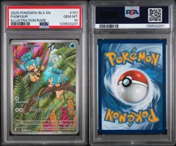 2025 Pokemon Scarlet & Violet Black Bolt IR Panpour #101 PSA 10 GEM MINT - Image 3