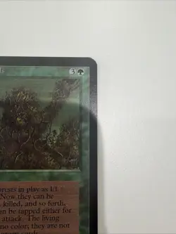 MTG LIVING LANDS Alpha - Image 2
