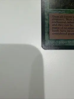 MTG LIVING LANDS Alpha - Image 4