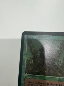 MTG LIVING LANDS Alpha - Image 5