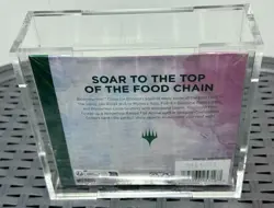 BRAND NEW IN PlexiGlass! Bloomburrow Collector Booster MTG Magic the Gathering - Image 3