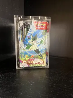 Paldea Evolved Booster Box - New and Sealed 36 packs POKEMON TCG - Image 4