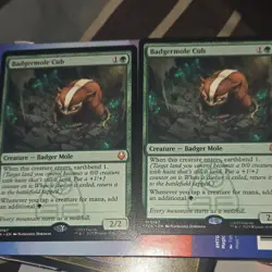 Magic: The Gathering 2 copies Badgermole Cub - Image 1