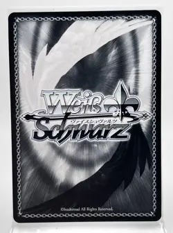 Sword Art Online SAO/S80-E015 U Endless Summer by the Beach, Alice & Asuna - Image 2