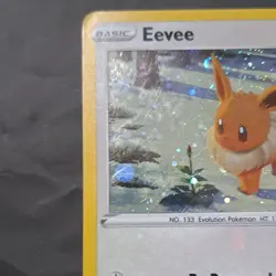 Pokemon TCG Eevee SWSH190 Sword & Shield Promo Holo Card OKACHEKE 60 HP - Image 2