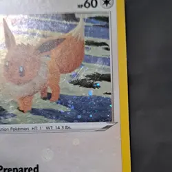 Pokemon TCG Eevee SWSH190 Sword & Shield Promo Holo Card OKACHEKE 60 HP - Image 3