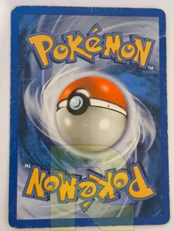 Swinub ® Skyridge 108/144 ® Comune ® Pokemon ® Inglese ® Good- - Image 2