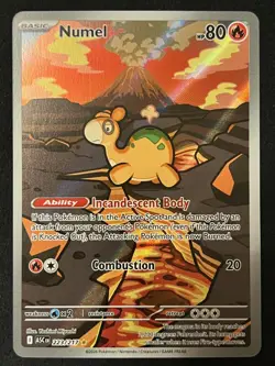 Pokemon TCG Numel 223/217 Illustration Rare - Ascended Heroes - Pack Fresh ✅ - Image 1
