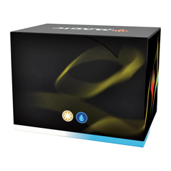 Magic the Gathering First Flight White Blue Commander Deck Ready to Play - Image 2