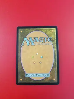 1x Deadly Recluse | FOIL | M13 Magic 2013 | MTG Magic Cards - Image 2
