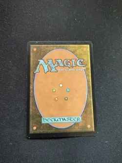 Cultural Exchange Odyssey Regular - Image 2