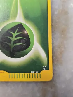 Grass Energy 162/165 NM - Expedition Base Set Pokemon Card - Image 4