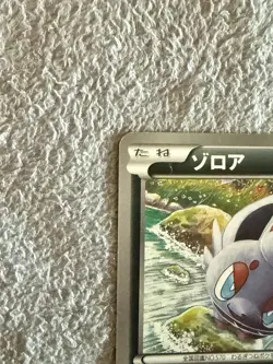 Zorua 021/BW-P Uniqlo Promo Japanese Pokemon Card 2011 - Shipped from Japan - Image 3