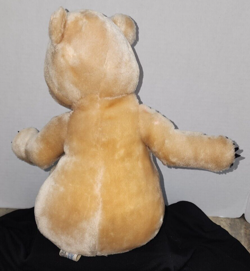 Disneyland 13" Country Bear Jamboree TEDDI BEARA Bear Vintage 1992 Plush - Image 4