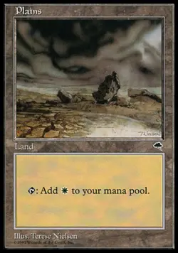 1 x Plains (324) - Tempest - Light Play - MTG - Image 1