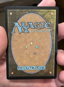 MTG - Perch Protection - Bloomburrow Commander LP - Image 2