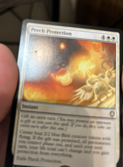 MTG - Perch Protection - Bloomburrow Commander LP - Image 3