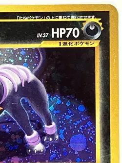 Houndoom LP 229 Crossing the Ruins Pokemon TCG Holo US SELLER - Image 4