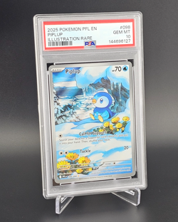 PSA 10 Piplup 098/094 Pokemon Phantasmal Flames Illustration Rare 2025 GEM MINT - Image 4