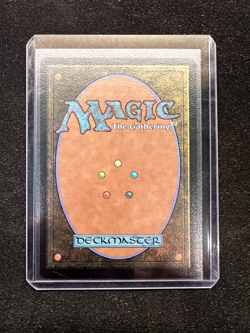 Magic The Gathering - Traveling Chocobo (Borderless) Final Fantasy Foil - Image 2
