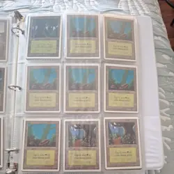 Lot of 76 UNLIMITED Magic The Gathering MTG Land Cards All Five Colors SP/MP/HP - Image 3