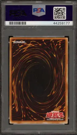 Yu-Gi-Oh! Dark Paladin Magician's Force 1st Ed ASIAN MFC-105 CORRECTED ART PSA 8 - Image 2