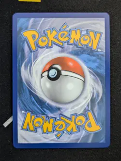 Torkoal V - 024/202 - Pokemon Sword & Shield Base Set Ultra Rare Card NM - Image 2