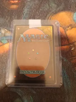 Highland Weald Coldsnap Foil, NM, MTG, Magic, FREE NEXT DAY SHIPPING! - Image 2