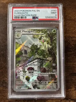 Floragato IR 197/193 Sv02 Holo Illustration Rare Paldea Evolved Pokemon PSA 9 - Image 1