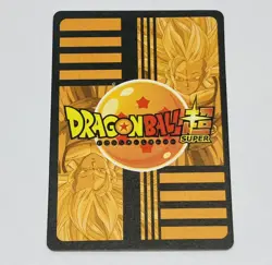 Gohan - Dragon Ball Super Trading Card XR No. 025 Rainbow Holo Foil Tc5 - Image 2