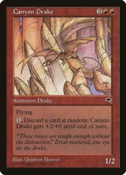 Tempest Canyon Drake MTG Magic the Gathering NM - Image 1