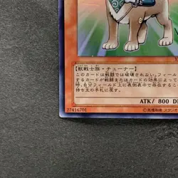 Shiba Warrior Taro YAP1-JP009 Ultra Rare Anniversary Pack YuGiOh 100 - Image 4