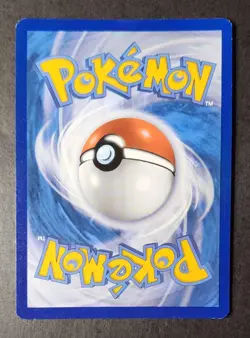 Eevee SWSH175 Black Star Promo Holo Pokemon TCG Card - Image 2