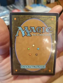 Mtg Plains Promo GP MagicFest 2019 NMx1 - Image 3