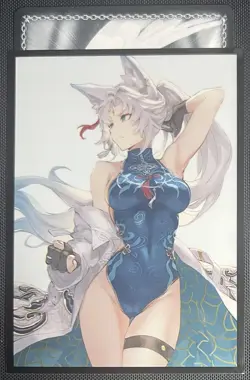 Feixiao Honkai Star Rail Individual Card Sleeve Anime Waifu Doujin - Image 2