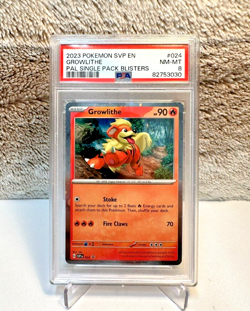 2023 Pokemon Scarlet & Violet Black Star Promo - Growlithe #024 Holo - PSA 8 - Image 1