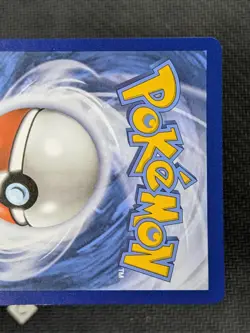 Lances Charizard V SWSH133 - Black Star Ultra Rare Promo Pokemon TCG NM - Image 4