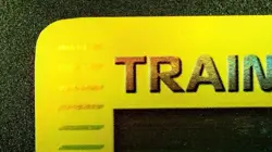 Forest Guardian 123/147 Reverse Holo Pokemon Aquapolis 2002 Wotc Vintage LP/NM - Image 4