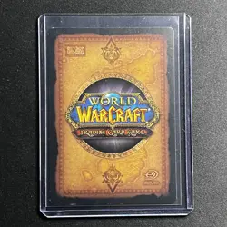 2007 World of Warcraft TCG Spectral Tiger Mount Outland Loot Unused Redemption - Image 2