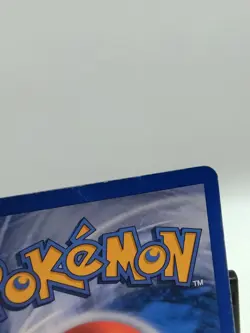 Beedrill H4/H32 - Skyridge Holo Pokemon Card - Image 5