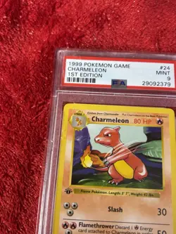 Pokemon PSA 9 1st Edition Charmeleon 024/102 Base Set (Shadowless) - Image 3