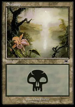 Moderate Play, English MTG Regular Swamp (341) Onslaught Magic the Gathering - Image 1