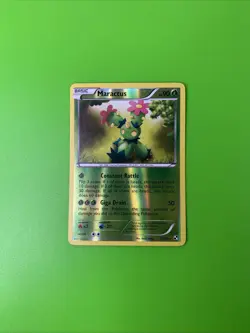 Maractus 12/114 Black & White Reverse Holo Pokemon Card LP+ - Image 1