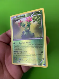 Maractus 12/114 Black & White Reverse Holo Pokemon Card LP+ - Image 4